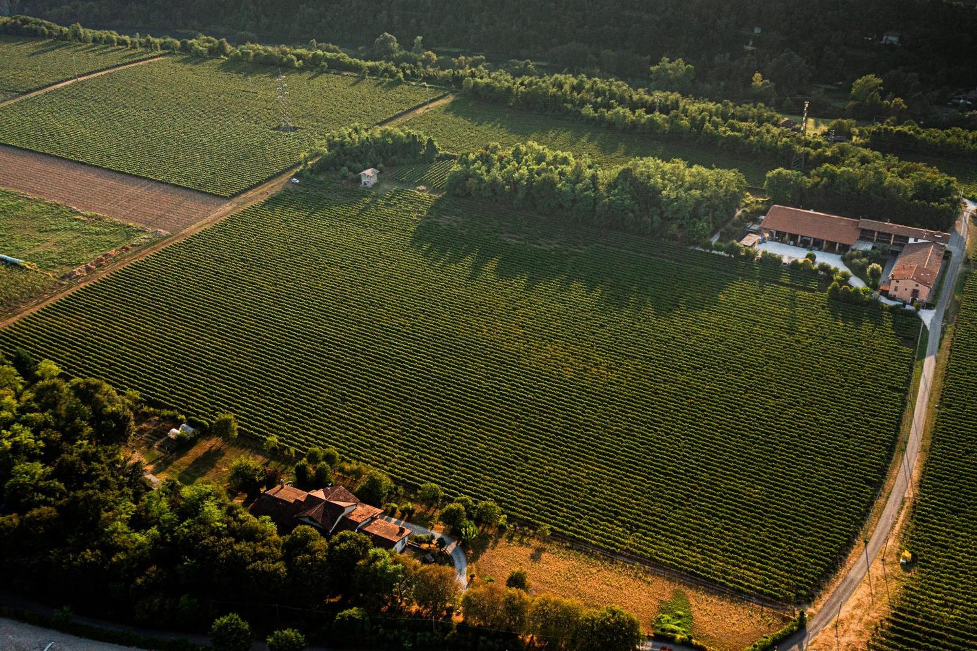 Agriturismo Ripa Del Bosco Capriolo Zewnętrze zdjęcie