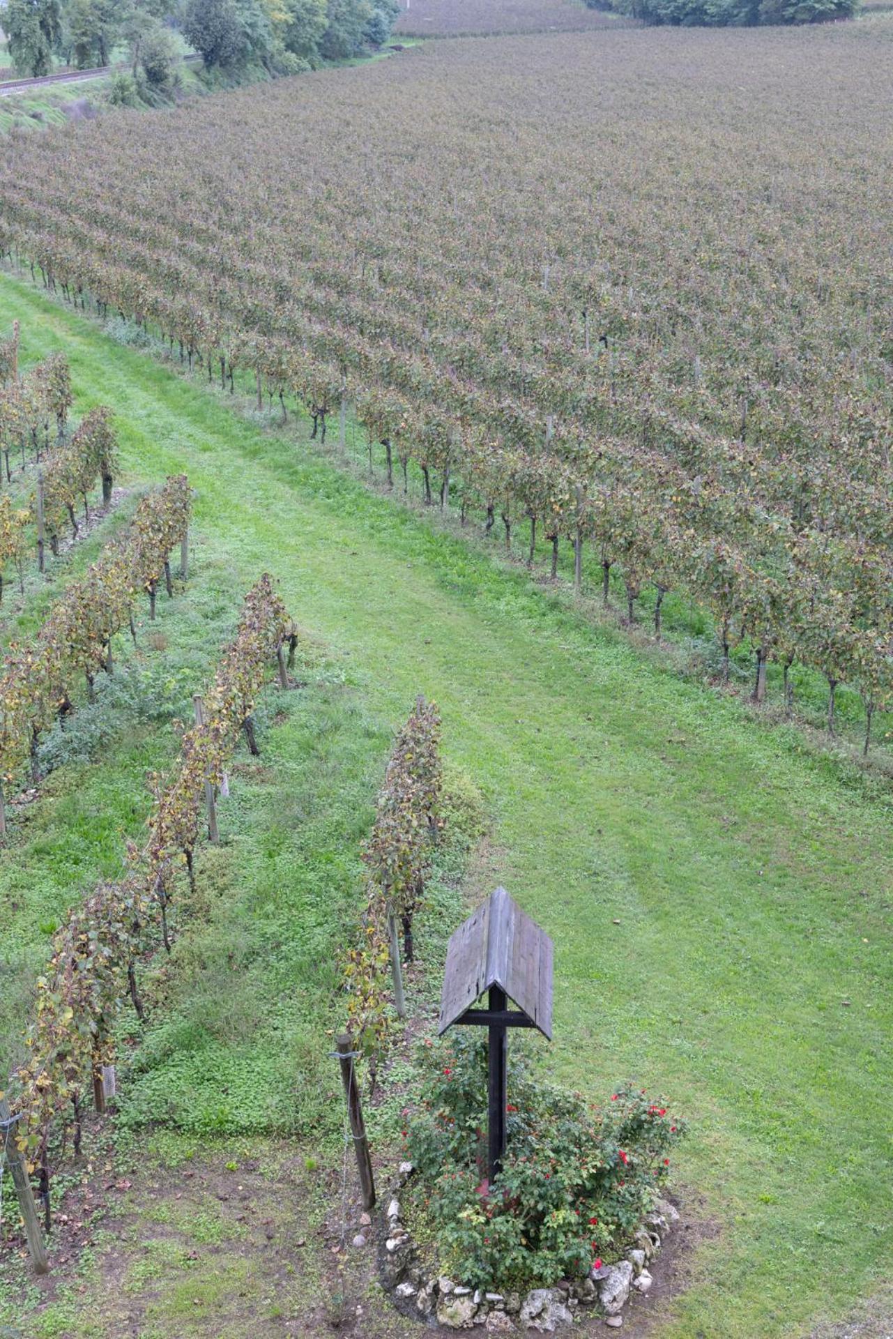 Agriturismo Ripa Del Bosco Capriolo Zewnętrze zdjęcie