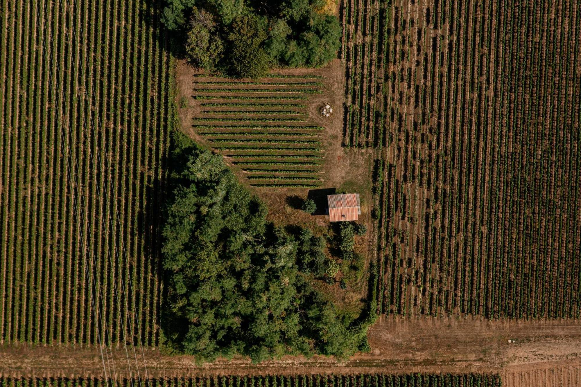 Agriturismo Ripa Del Bosco Capriolo Zewnętrze zdjęcie